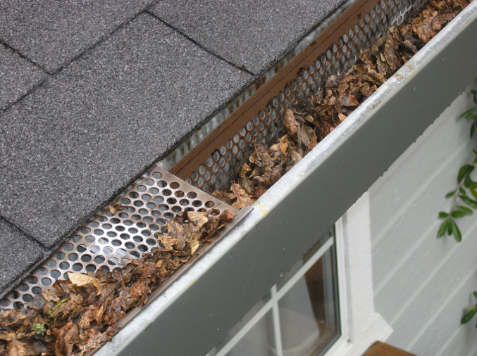 Gutter Cleaning Tips