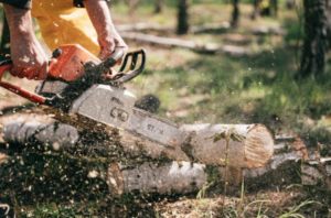 chainsaw
